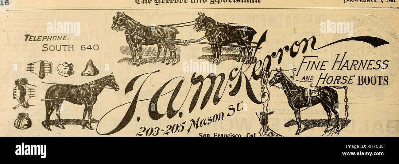 N ine hi-res stock photography and images - Page 7 - Alamy