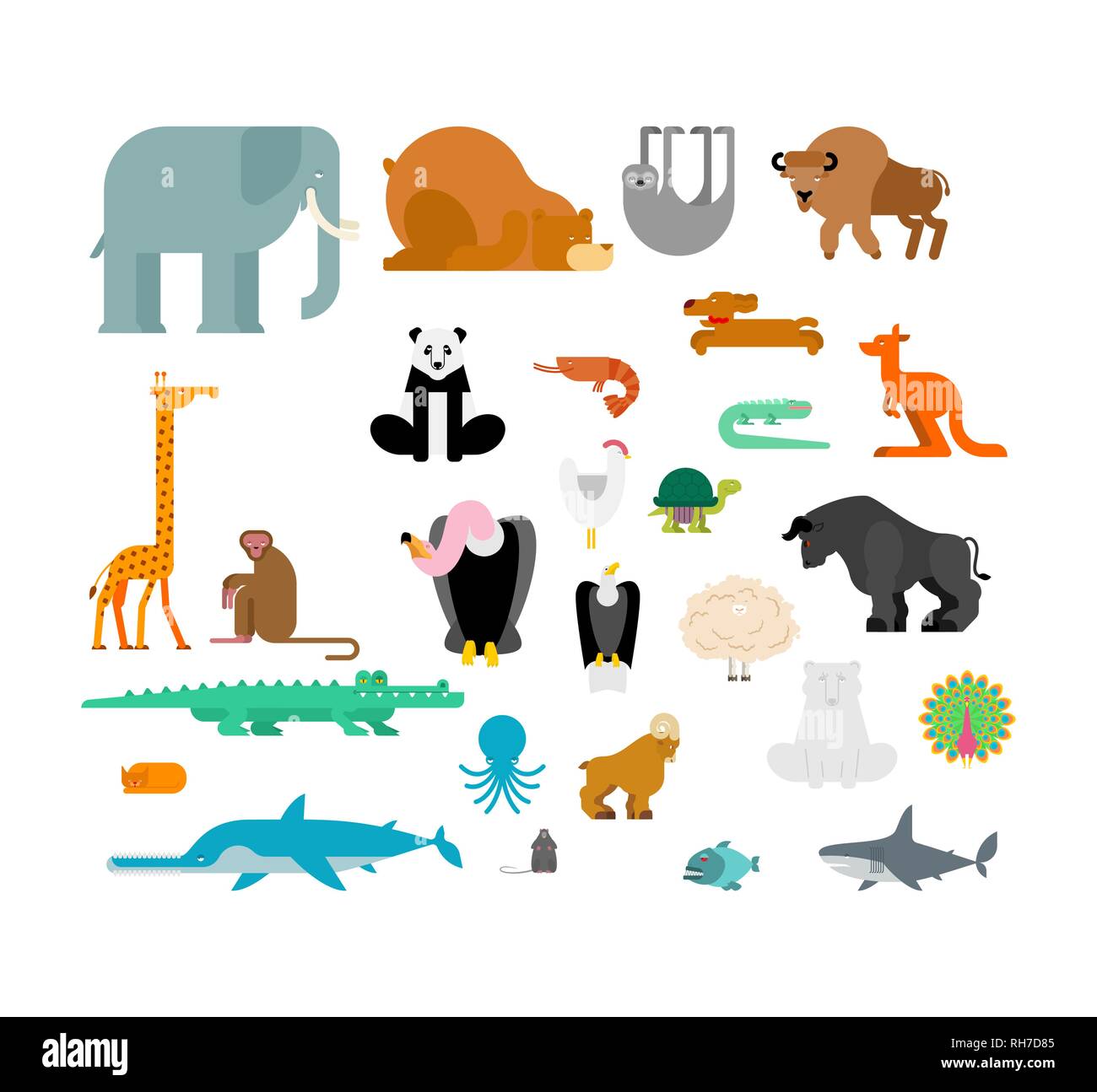 Animals set. Beast collection. cute cartoon animal. jungle and forest Wild  nature. Fauna of Different Continents Stock Vector Image & Art - Alamy
