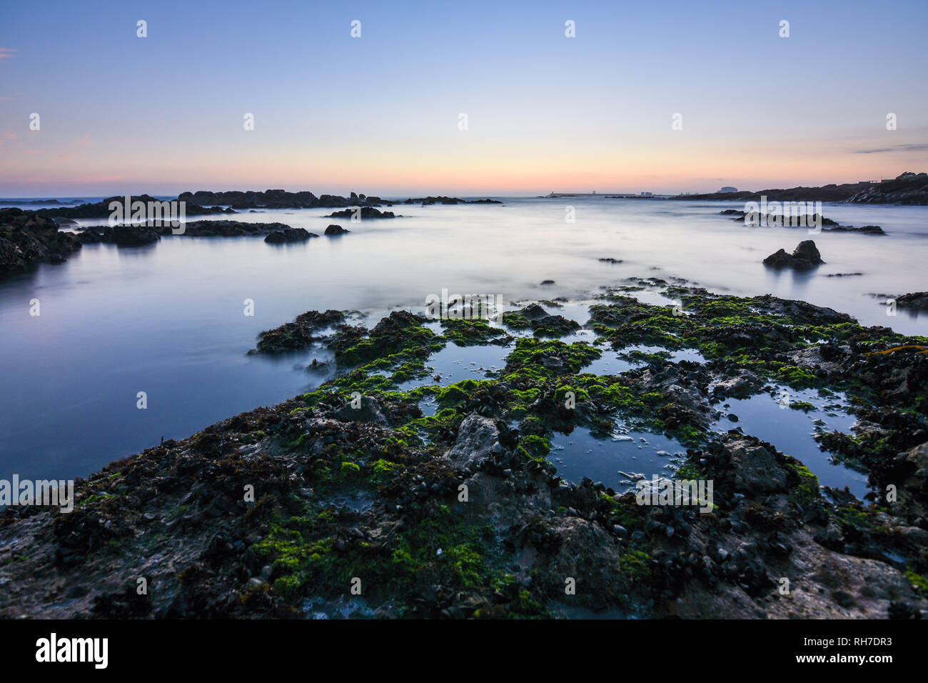 Golden magic sunset on a rocky beach with green moss in Porto. Portugal. Europe Stock Photo