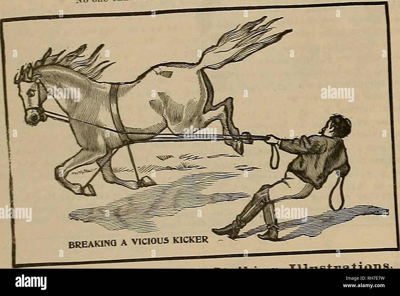 phim set Khám Phá Thế Giới Cá Cược Trực Tuyến - Cơ Hội & Rủi Ro