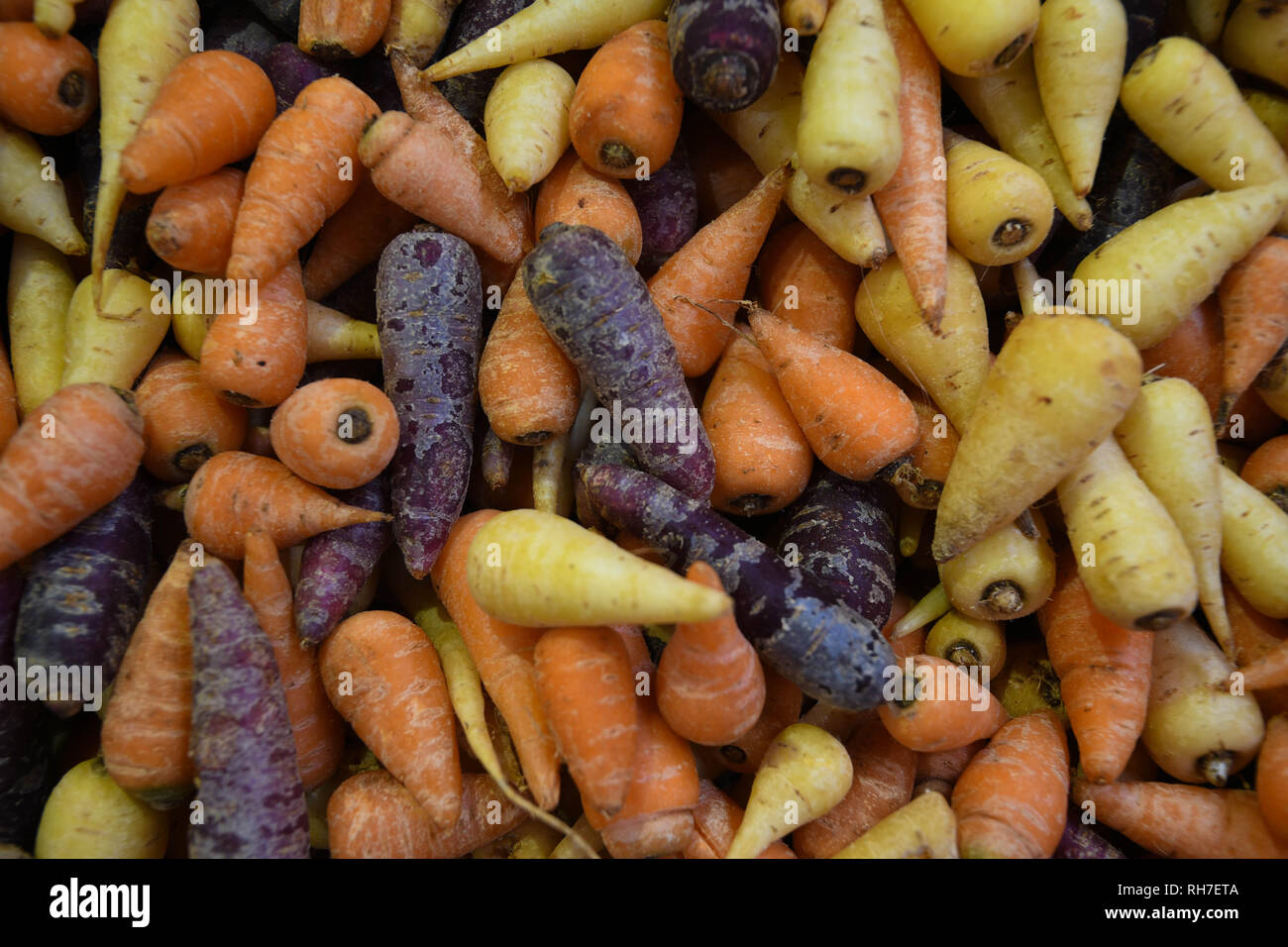 Rainbow Baby Carrots at a market Stock Photo Alamy