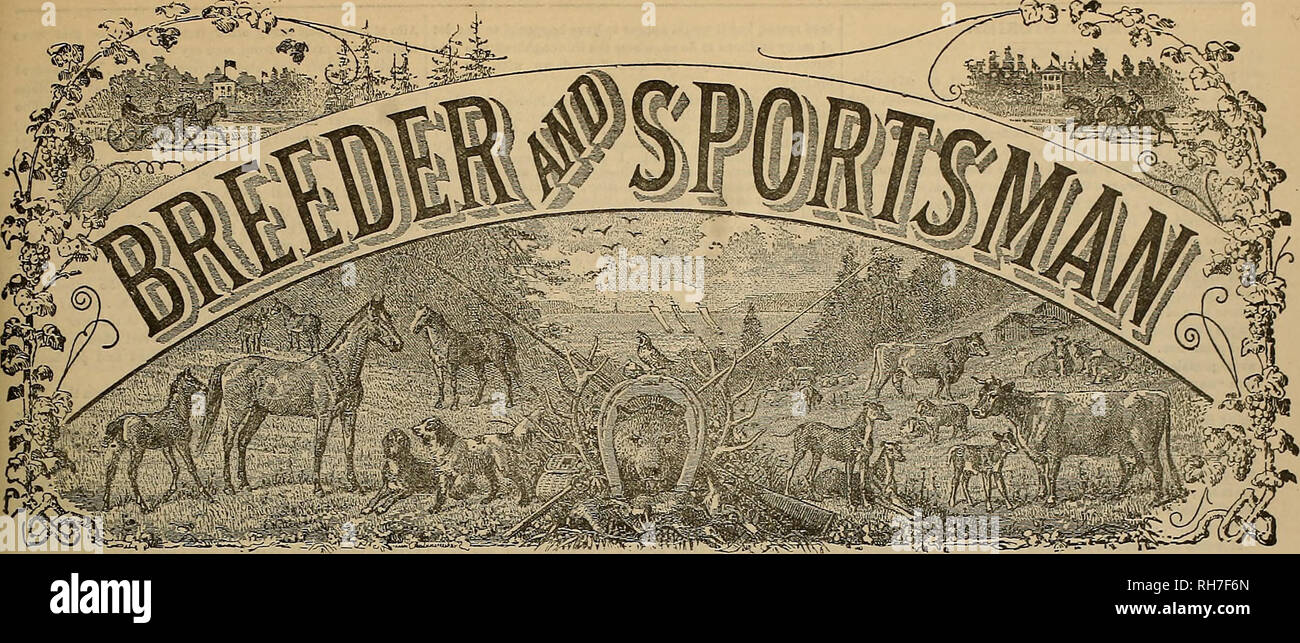 . Breeder and sportsman. Horses. arw JEHa-TY XVA.G-X3S. 3'^jg. Vol XV. No 2!. No. 318 BUSH STREET. SAN FRANCISCO. SATURDAY, DEC. 7, 1889. SUBSCRIPTION FIVE DOLLARS A YEAR. At the Fresno Track. The fame of the rcce track at Fresno haa reached from the Atlantic to the Pacific, owing in the first place to the liberal- ity of the Directors, who offered daring the past seaaoD a $20,000 purse for a two mile and repeat race, which unfortu- nately did not fill, and secondly to the remarkable perform- ances of Sunol, who made a mile there in 2:13f, and Palo Alto, although lame, made his in 2:15. The ti Stock Photo