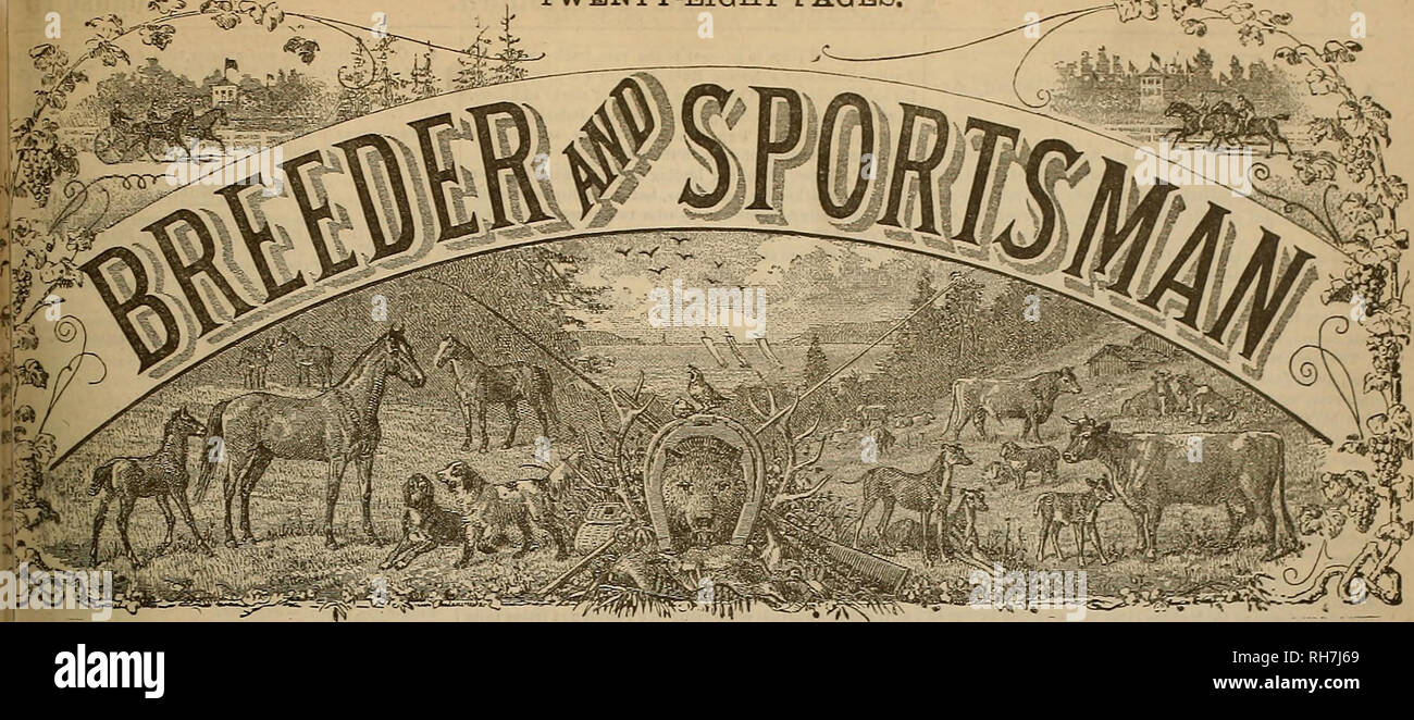 . Breeder and sportsman. Horses. *r!&gt; TWENTY-EIGHT PAQE-S. TaWflu. Vol XIX. No 7. No. 118 BUSH STREET SAN FRANCISCO, SATURDAY, AUGUST 15, 1891. BREEDER'SLMEETING.-LAST DAT. Cupid Wiasjthe&quot;2:24 Race.âKintjsley Carries off tbe Double-Team Purse. A Great Somersault In tbe nettingâ Every Horse a Favorite by Tnrns and rots of Money Lostâ Cupid Smashes a Combination. The closing day of the BreederVMeeting was an ideal day. There had been a heavy fog all the morning, but the snn 3ame out bo hot that by noon the atmosphere was bright and ,:lear, with very little wind. By 1 o'clock there was a  Stock Photo