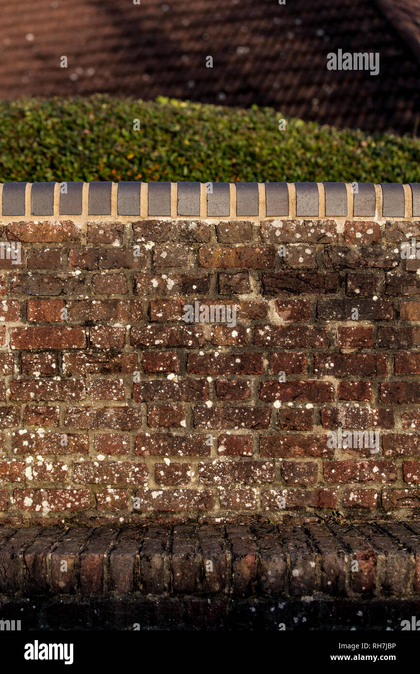 Dirty old red brick wall with hedge and roof of building behind Stock ...