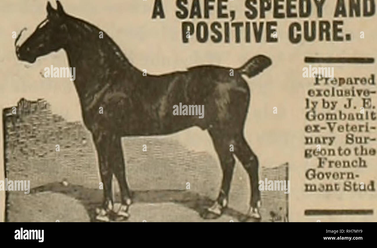 Breeder And Sportsman Horses Apbil 21 1900 C Jj Veebev Mtb Gymrfemmu 2 41 The Ever Potent Outcroea A Good Friend Of Mine Discussing Not Long Since The Mer Its Of A