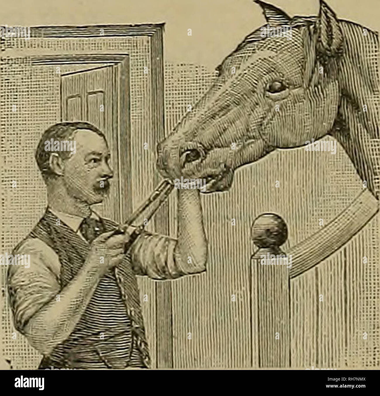 Breeder and sportsman. Horses. 238 %ht %xzt&zx and gyoxtsxtmu