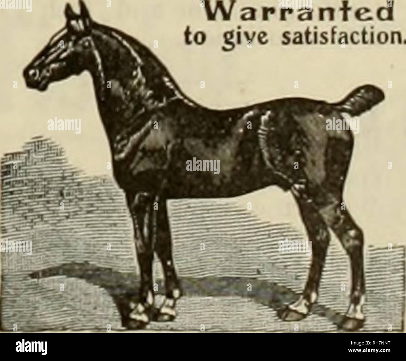 Breeder And Sportsman Horses Saturday October 31 1908 The Breeder And Sportsman 13 Importance Of Drainage With An Average Of 27 000 Tons Of Wa Ter Falling In The Form Of Rain