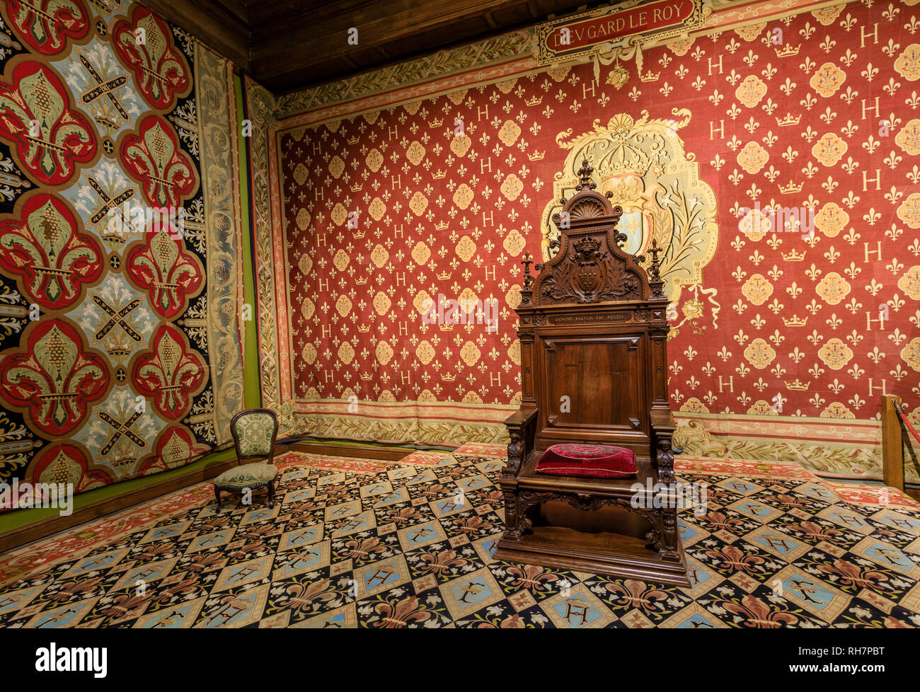 France, Loir et Cher, Chambord, Chambord castle, the throne room, throne of the count of