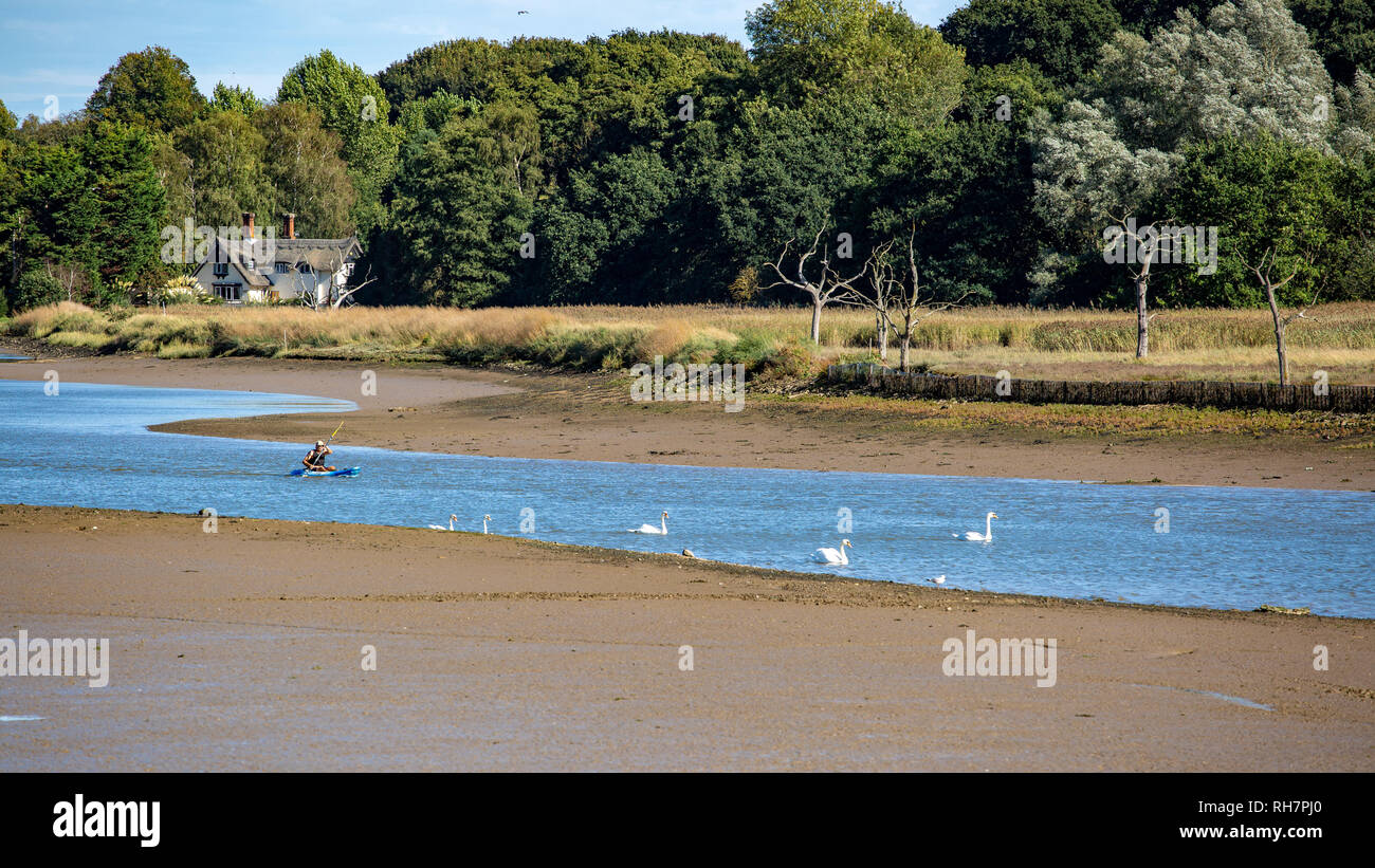 The River Deben Estuary Stock Photo Alamy