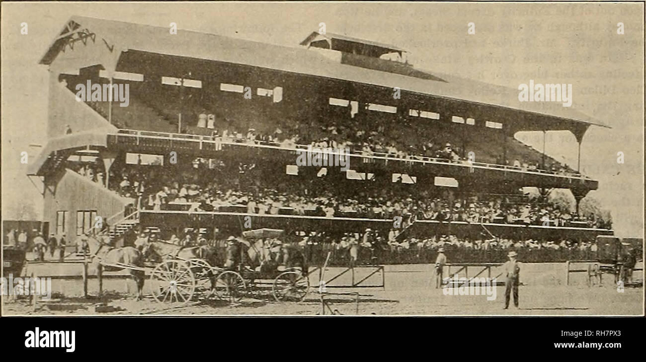 Breeder And Sportsman Horses The Breeder And Sportsman Saturday August 29 190s 19th Annual Meeting Of P C T H B A At Chico By Ben S Allen Four Days Of A question from patrick in poland: alamy