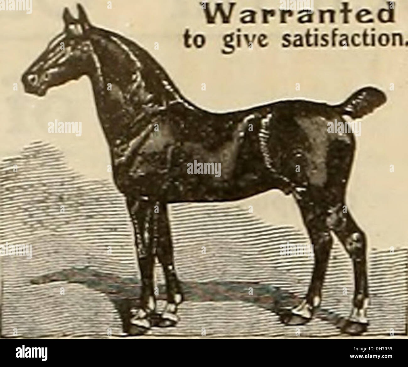 . Breeder and sportsman. Horses. 14 THE BREEDER AND SPORTSMAN [Saturday