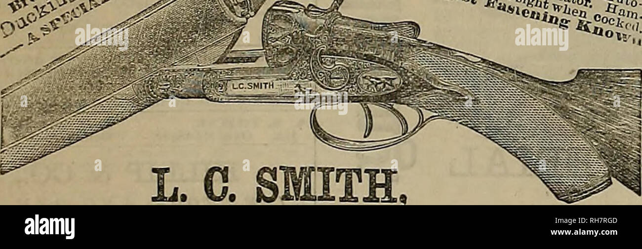 . Breeder and sportsman. Horses. SELBY SMELTING and LEAD CO' MATCH OF HORSES AND LIVE STOCK ON PASSENGER A OR A FREIGHT #/ TRAINS. /&quot;'/...- 4&gt; *t the L C. SMITH' Top Action, Double Cross-Bolted BREECH—LOADING GUN! V fc.'. a a , IS 3 9 9 g *•« o S;oi E-unnfacturer of both Hammer and Hammerlesa Guns. SYRACUSE, N. Y. &amp;. Demonstration of the Shooting Qualities of the &quot;Ij. C. Smith&quot; Gun. At the Cleveland Cartridge Co.'8 tournament, held at Cleveland, 0., from September 13 to 16 inclusive tbe &quot;Smith&quot; gun won first money In every class. It alBO won nearly two-thirds of Stock Photo