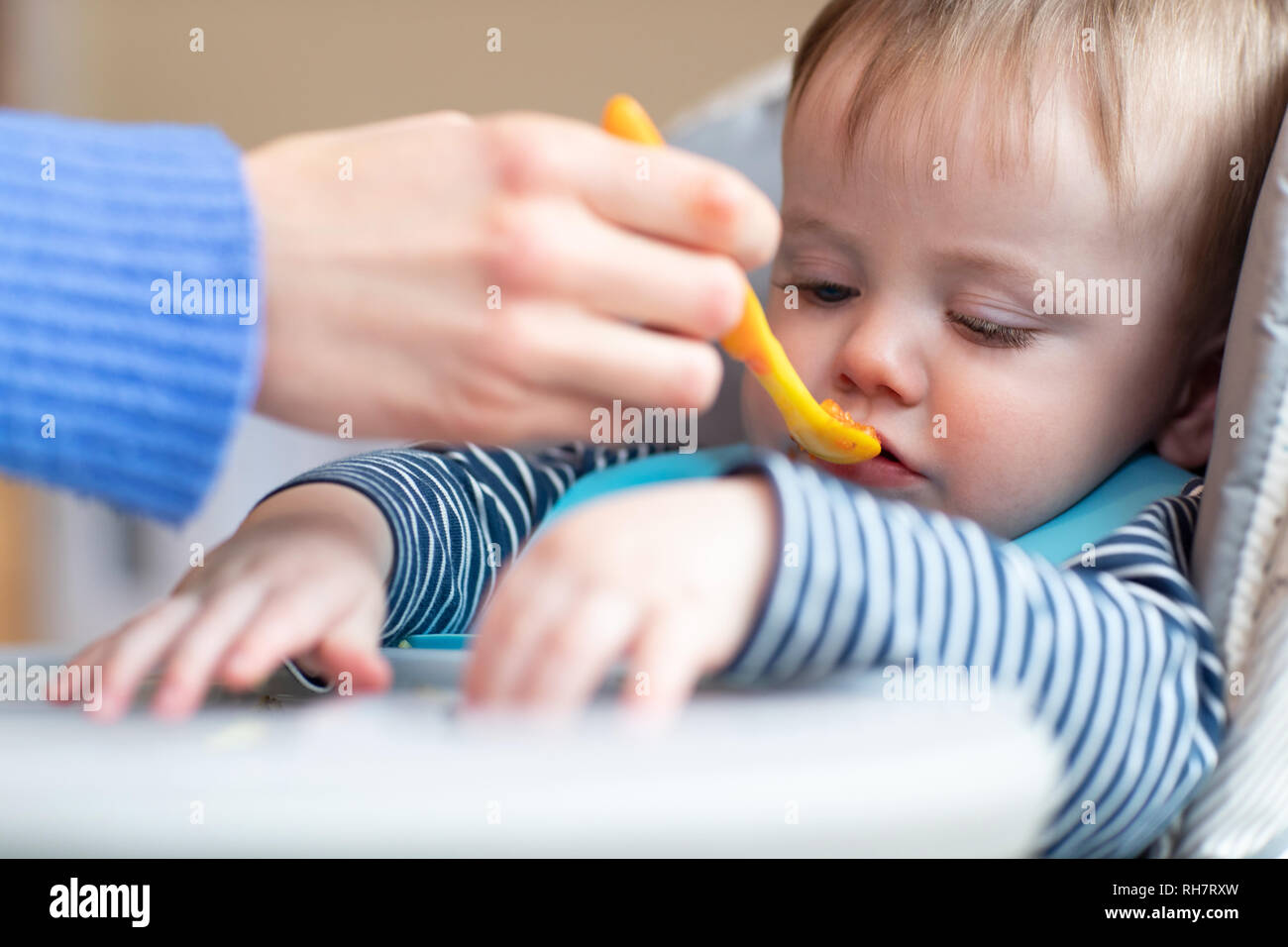 Fussy Baby Boy In High Chair Refusing Food At Meal Time Stock Photo