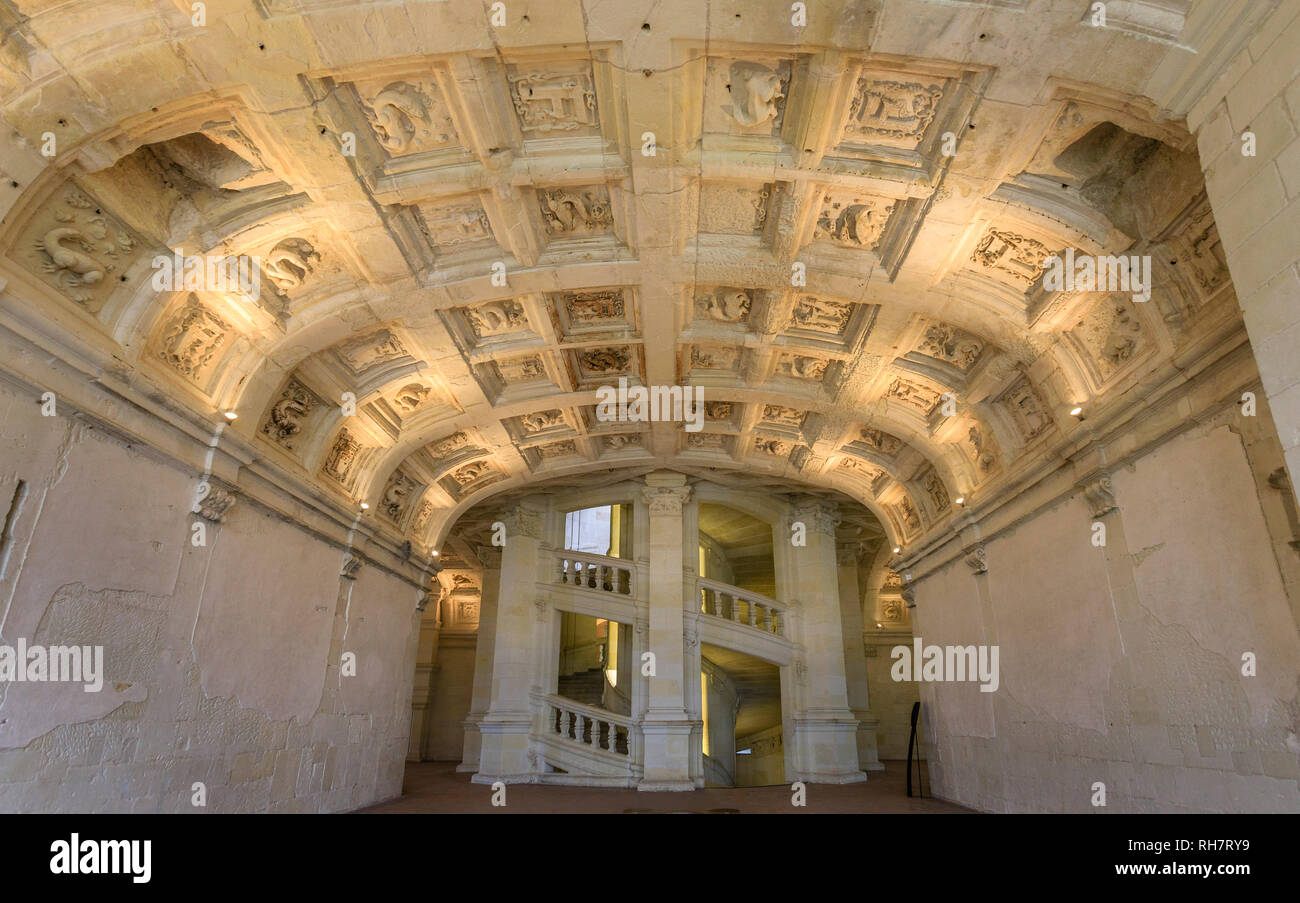 France, Loir et Cher, Chambord, Chambord castle, double revolving staircase and coffered ceiling and salamanders // France, Loire-et-Cher (41), Chambo Stock Photo