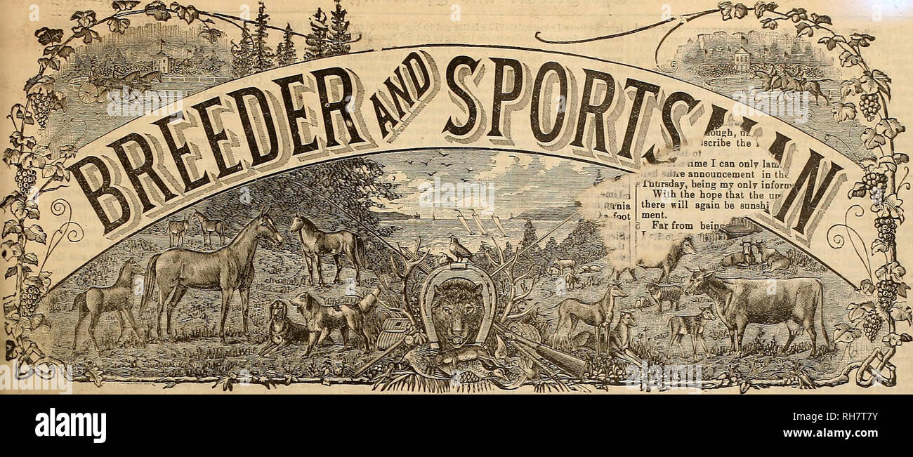 . Breeder and sportsman. Horses. SAN FRANCISCO, SATURDAY. MAECH 13. 1891. BUBBCKIPTION THREE DOLLARS A TFAB INGLESIDE RACB3. Closing Days of a Successful Meeting Where- in Many Long-Sho's &quot;Won — The Events in Detail. SIXTY -SECOND DAY—FRIDAY, MARCH 5. Tbe mud horses were right in the hunt tbis afternoon and the pablic picked them all right, four favorites wioning out of the seven races run. The surprises were Montgomery and San Marco, the former being as good as SO to 1 in tbe betting, Sao Marco 5$ to 1. Montgomery is a horse recently purchased by Barney Schreiber at tbe Burns &amp; Water Stock Photo
