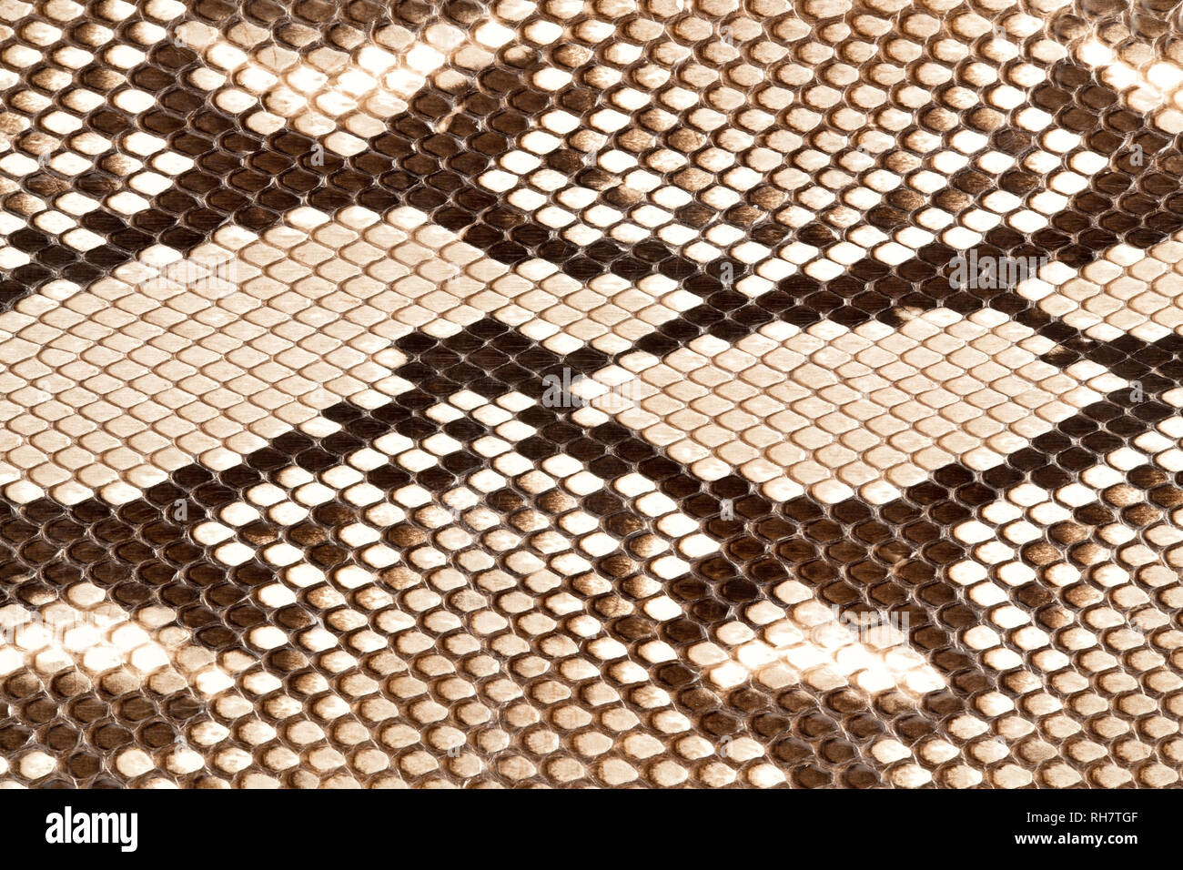Snake skin background Stock Photo