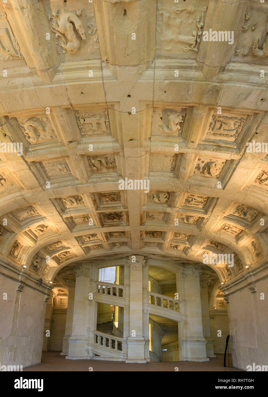 France, Loir et Cher, Chambord, Chambord castle, double revolving staircase and coffered ceiling and salamanders // France, Loire-et-Cher (41), Chambo Stock Photo