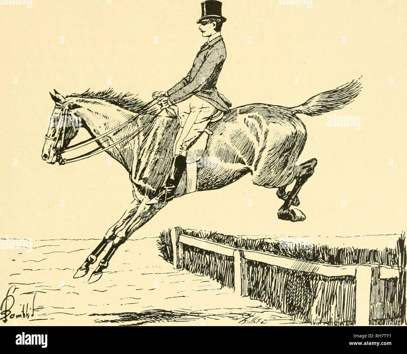 Horse Rider Weight High Resolution Stock Photography And