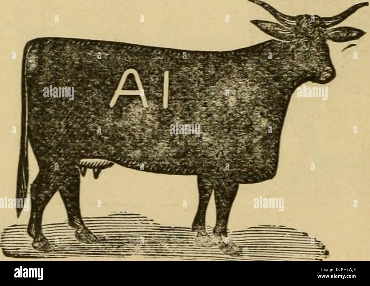 Cattle brands hi-res stock photography and images - Page 8 - Alamy
