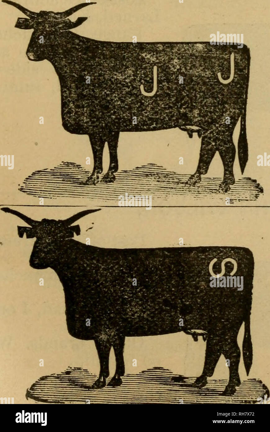 Overbit hires stock photography and images Alamy