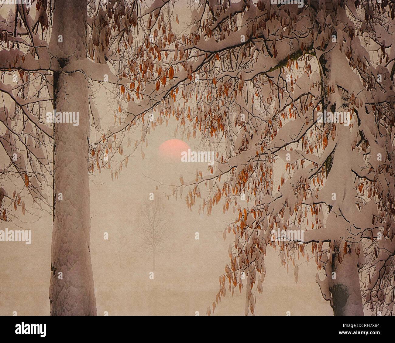 PHOTOGRAPHIC ART: Winter near Bad Toelz, Bavaria, Germany Stock Photo