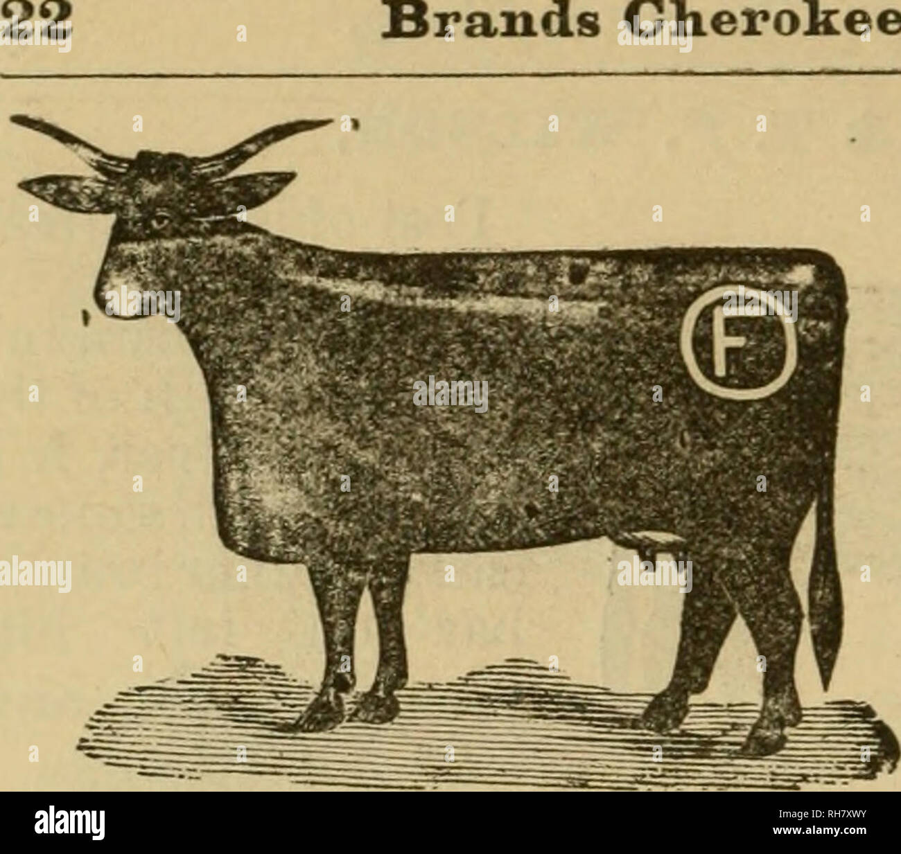 Brand book. Cattle brands; Cattle brands. Brands Cherokee Strip.. WM.  FORBES, Post-office address, Anthony, Kas. Range, Crooked Creek, I. T. brand  on both sides or hips. Horse brand, J-| Other brands,