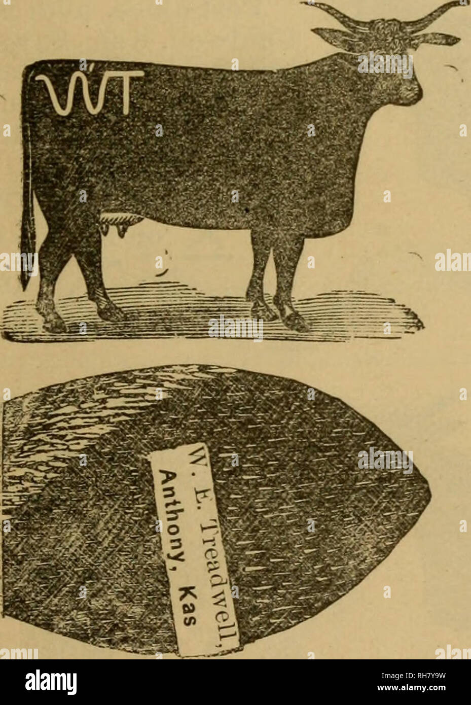 . Brand book. Cattle brands; Cattle brands. S. COOPER, Postoffice