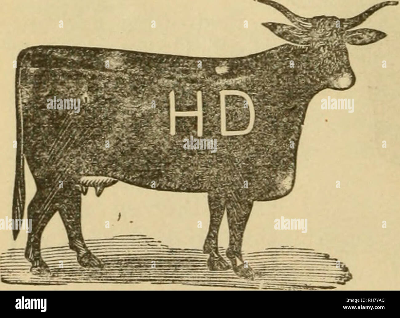 Brand book. Cattle brands Cattle brands. L. E ROCK Post office