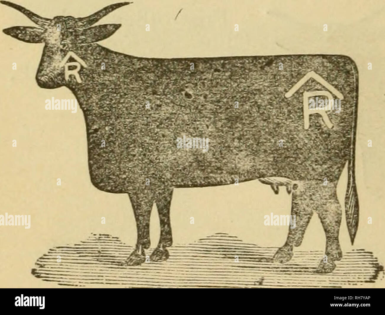. Brand book. Cattle brands; Cattle brands. Post-office address, Pawn ...
