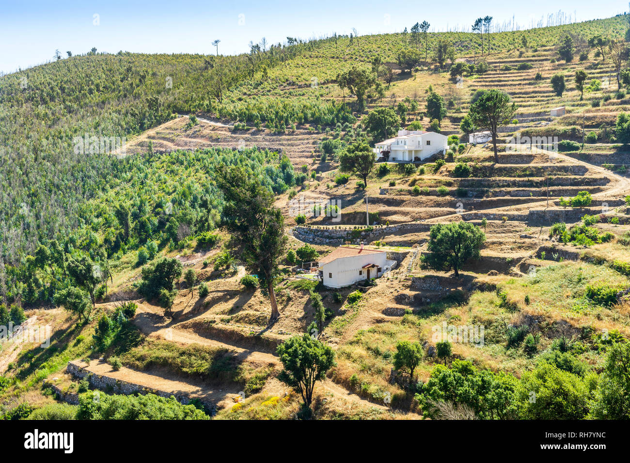 Beautiful landscape of terraced slopes in Sierra da Monchique, Algarve, Portugal Stock Photo