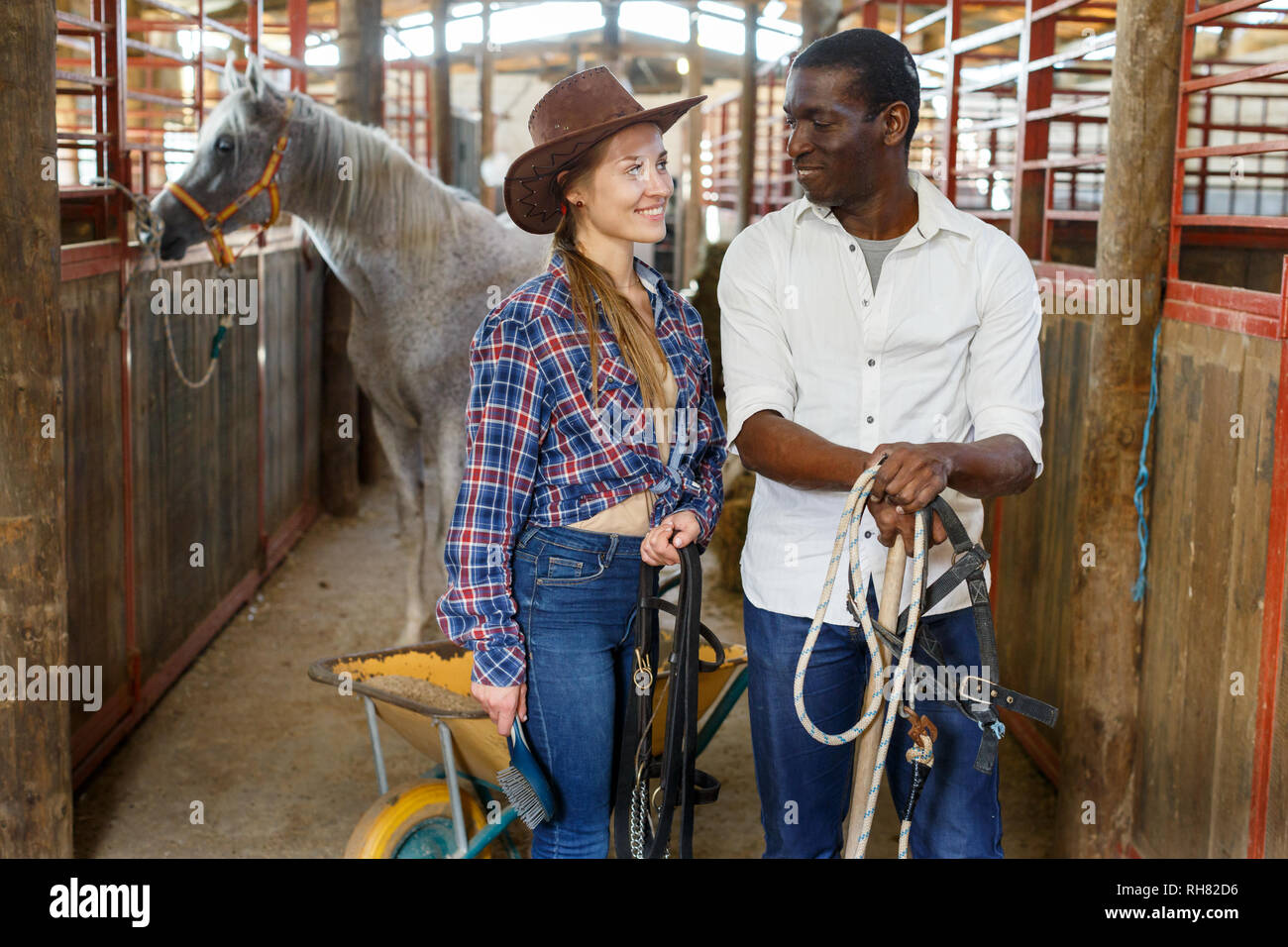 Portrait of smiling adult man and young woman workers of horse stable ...