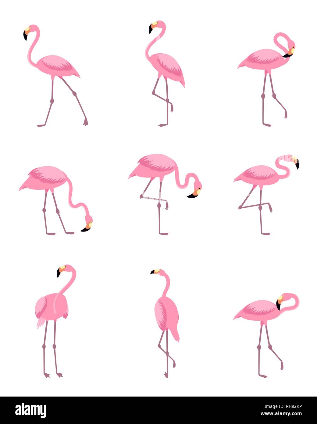Tropical greater flamingo Stock Vector