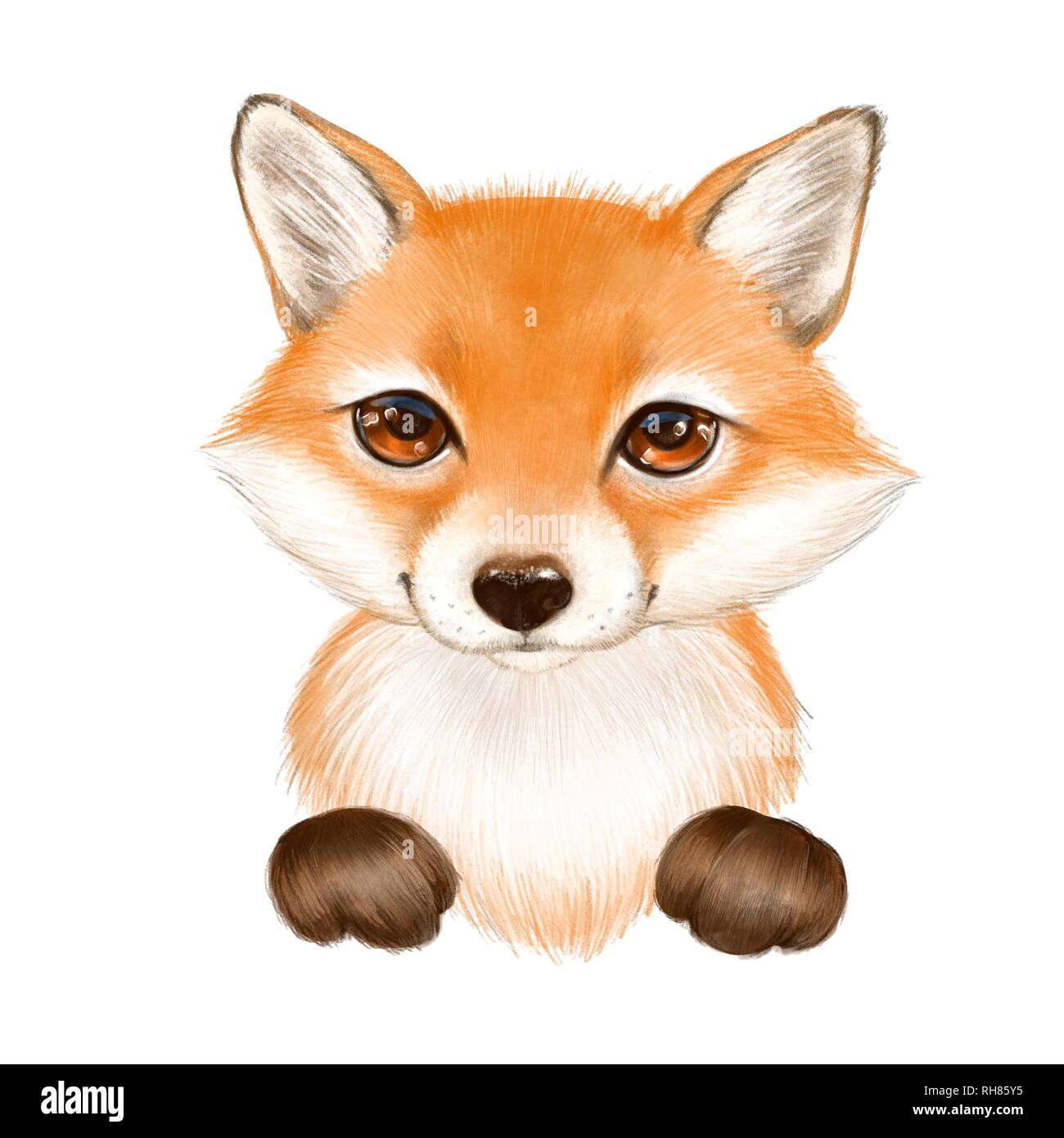 Cute cartoon fox on white background Stock Photo