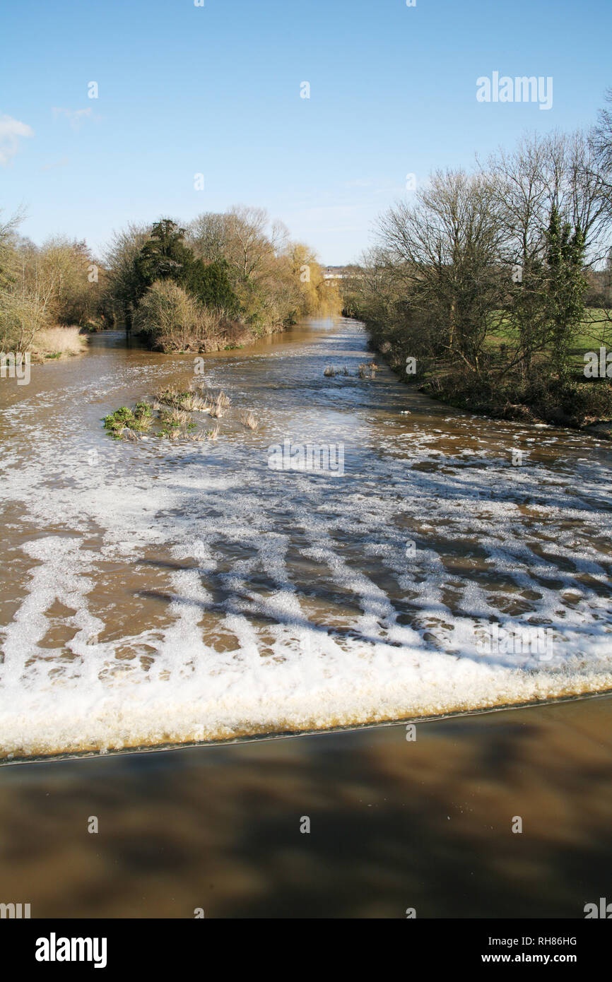 Silt-laden water rushing over a weir on the River Stour Blandford Dorset  England UK Stock Photo - Alamy