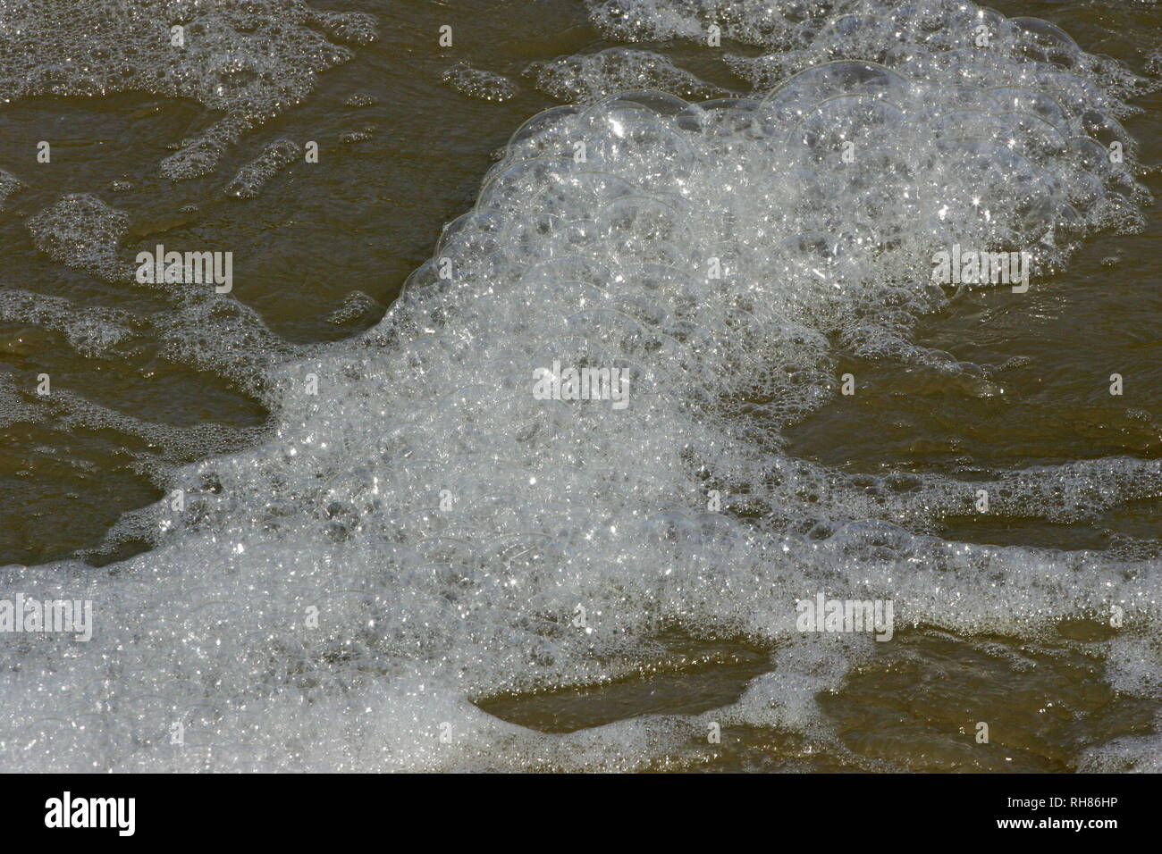 Bubbles formed by polluted water rushing over a weir on the River Stour