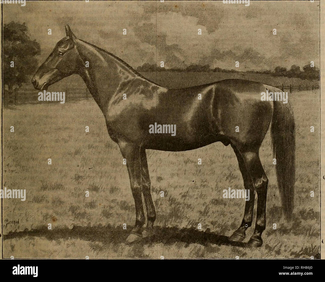 Breeder and sportsman. Horses. Vol. XXXtl No. 9. No. 313 bTJSH STREET. SAN  FRANCISCO, SATTTBDAY, FEBRUARY 26, 1898.. ALTAMONT. King of Sires of 2:10  PerformersâOne of the Greatest Progenitors of Extreme