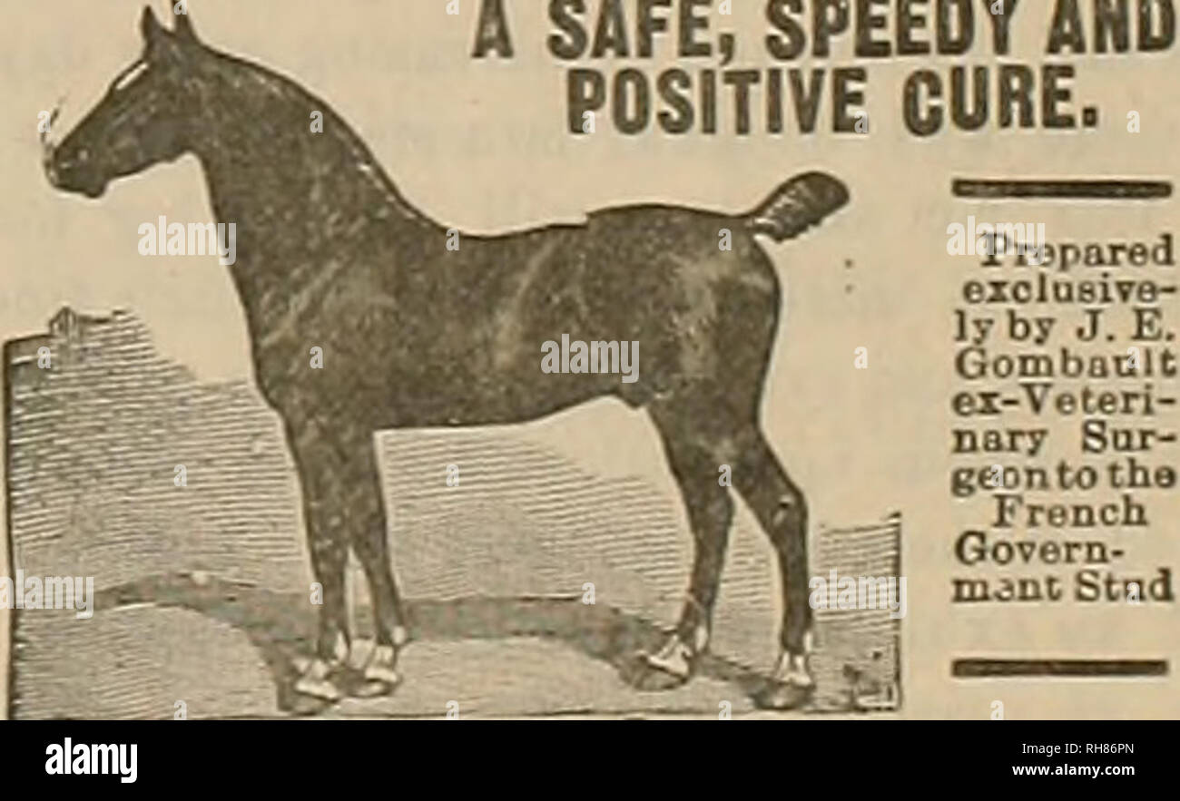 Breeder And Sportsman Horses February 10 1900 C Ijs Gtr