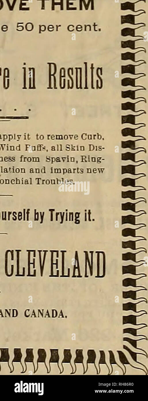 Breeder And Sportsman Horses 124 A E A Veei Ev Cmi Gt Rotrtsmem A Febroary 19 Cured Ringbone And Blood Spavin Big Wausaukee Wis March 5 1s96 The Lawrence Williams Co Cleveland O In Reeard To