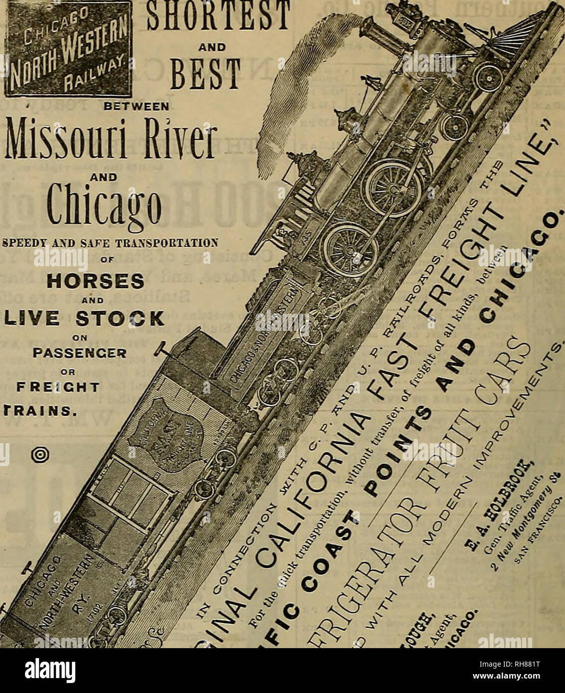 . Breeder and sportsman. Horses. SHORTEST BETWEEN. Missouri River o SPEEDT AXD SAFE TRANSPORTATION OF HORSES LIVE STOCK ON PASSENCER FREIGHT TRAINS. er*+Â°/*?/ A,- * 3r / -v fi ^ Ik /c% // if// ?^/S ^ Â£/?fM fs ^ &amp; O -co- O Â« / ff far J-**-' 4/ *&gt;&gt;â The &quot;L. C. Smith&quot; Guns.. Please note that these images are extracted from scanned page images that may have been digitally enhanced for readability - coloration and appearance of these illustrations may not perfectly resemble the original work.. San Francisco, Calif. : [s. n. ] Stock Photo