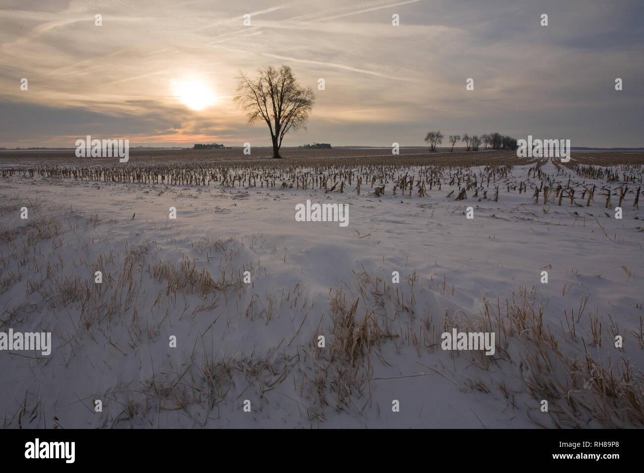 , Logan County, Illinois, USA Stock Photo Alamy