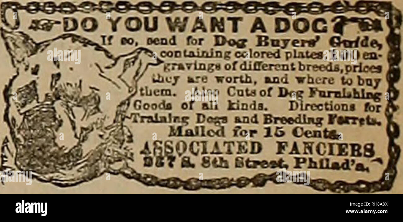 Breeder And Sportsman Horses No T Priee Each 2 50