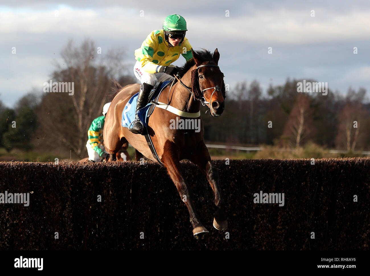 Lillington ridden by Harry Cobden in the Heath Farm Meats Chase at Ludlow Racecourse. Stock Photo