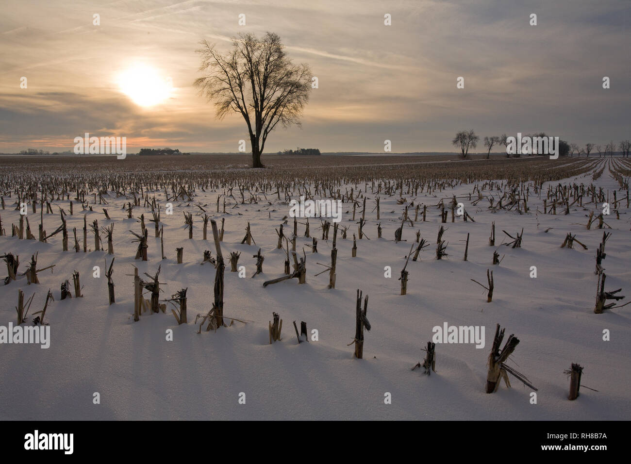, Logan County, Illinois, USA Stock Photo Alamy