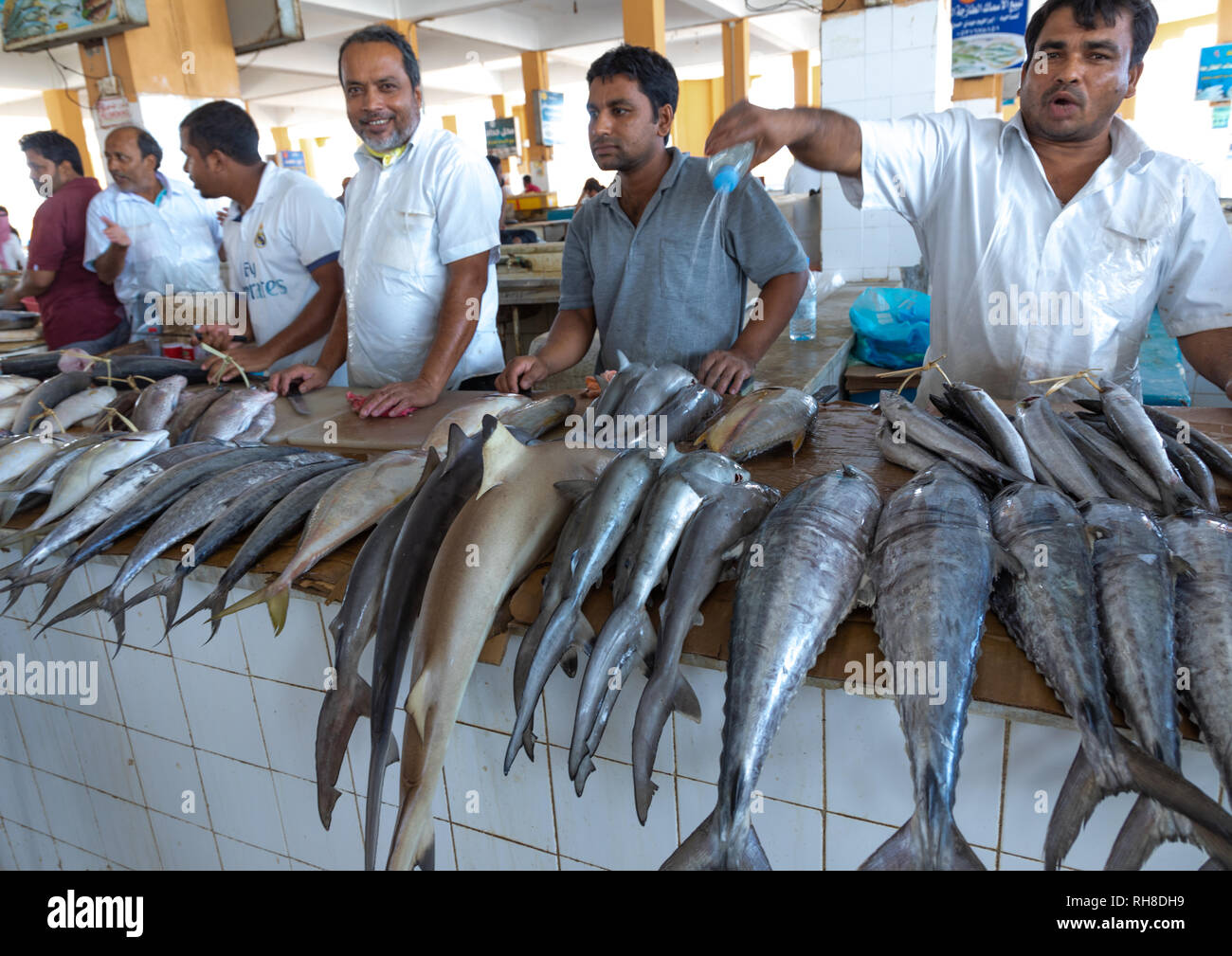 men selling fishes in the fish market, Jizan Province, Jizan, Saudi