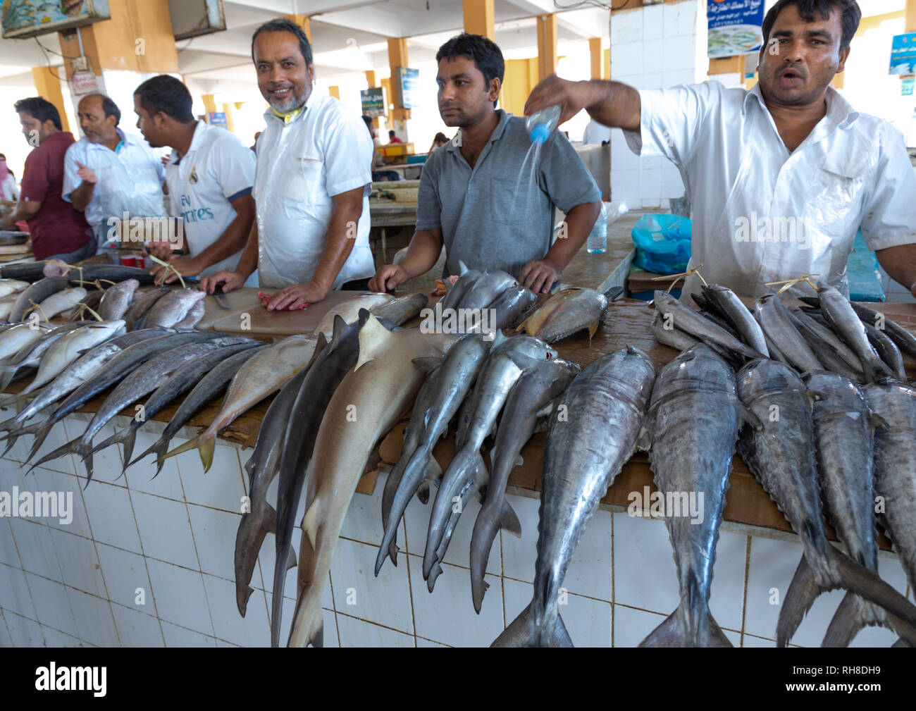 men selling fishes in the fish market, Jizan Province, Jizan, Saudi Arabia Stock Photo