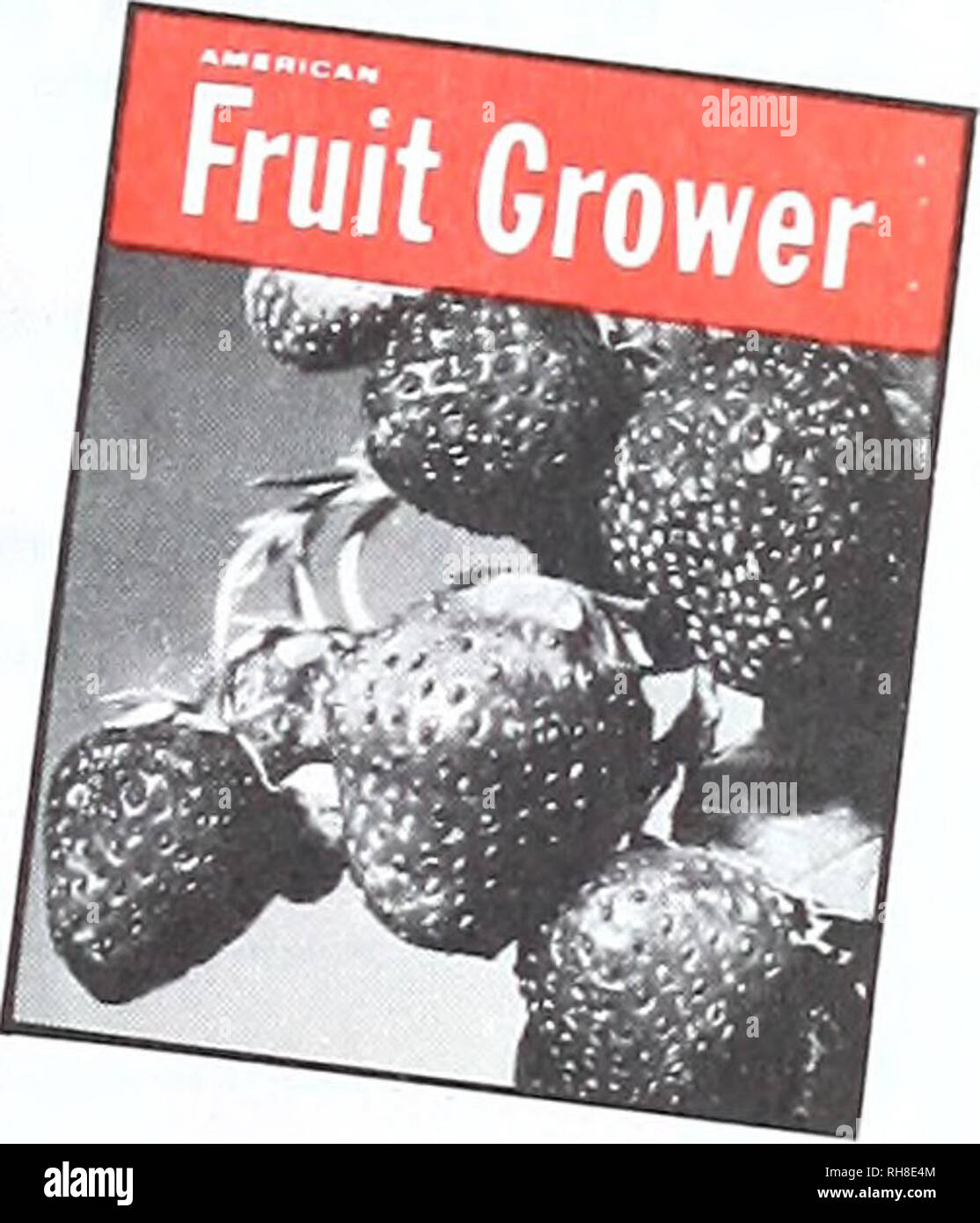 1974 1975 Cut Out Stock Images & Pictures Alamy