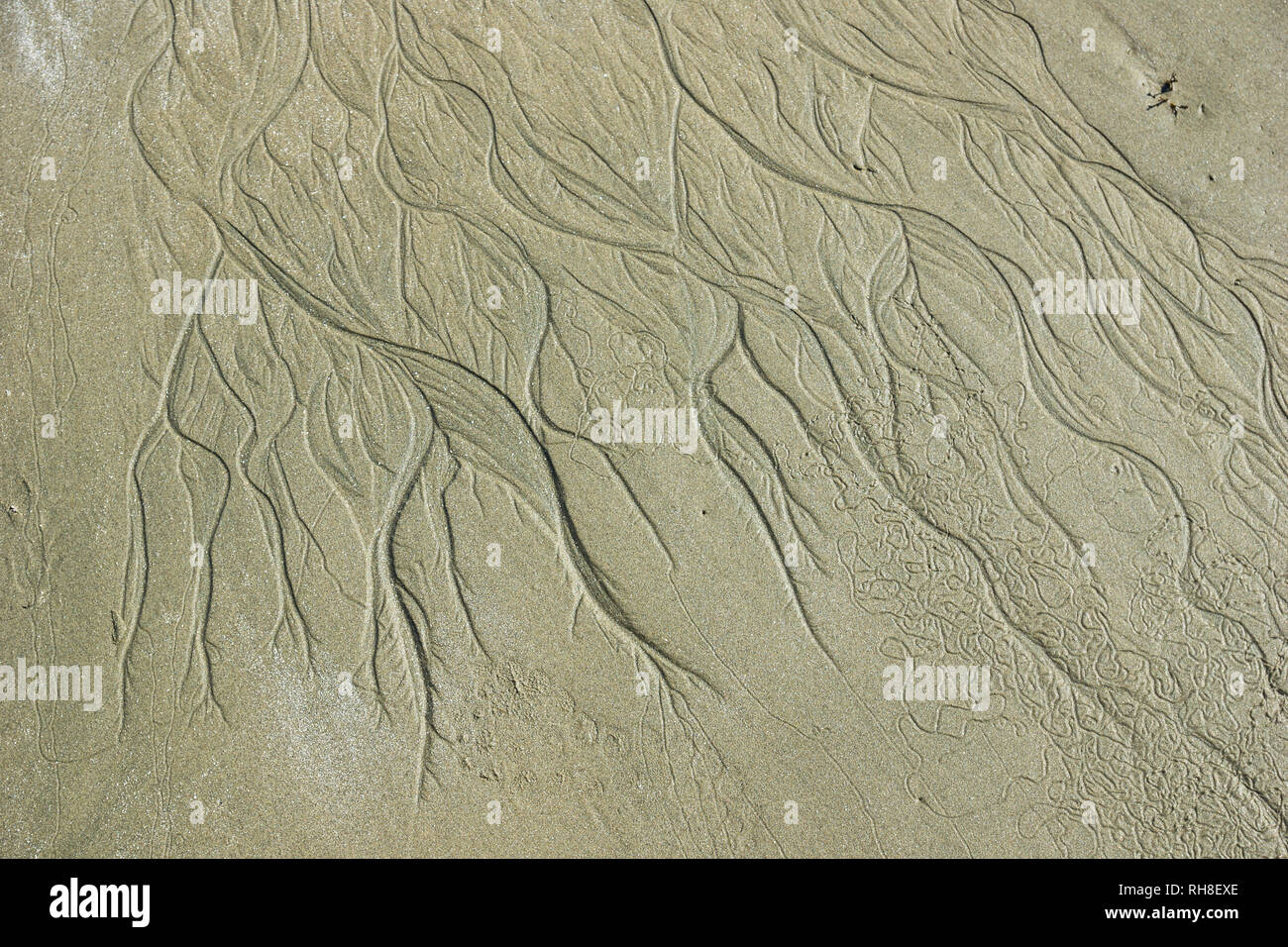 Ripples and ebb tide hi-res stock photography and images - Alamy