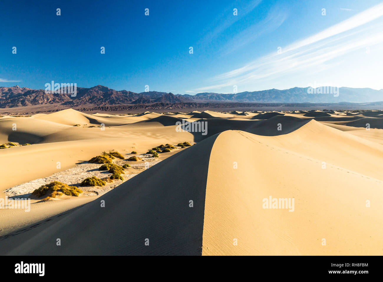 Mesquite Flats Sand Dunes in Death Valley, California Stock Photo