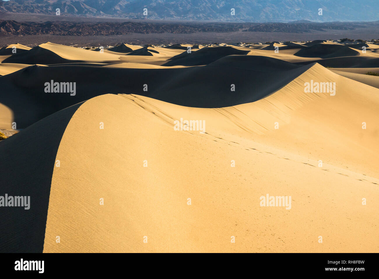 Mesquite Flats Sand Dunes in Death Valley National Park Stock Photo
