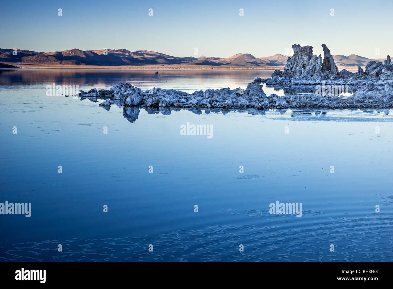 When the city of Los Angeles diverted water from Mono Lake, it lowered the lake level, which imperiled the migratory birds. The Mono Lake Committee fo Stock Photo